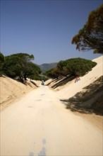 Road through drifting dune