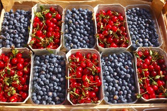 Fresh blueberries and cherries in boxes at market stall