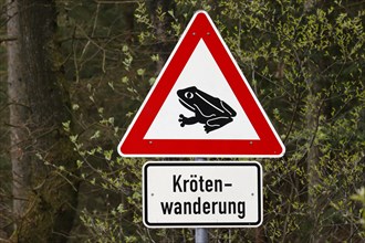 Traffic sign Caution toad crossing
