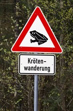 Traffic sign Caution toad crossing