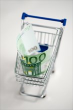 Shopping cart with 100 euro bill