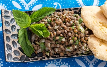 Lentil salad with fresh herbs and flat bread