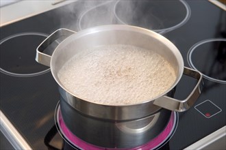 Boiling steaming water in a pot on a stove with ceramic hob