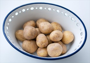 Raw potatoes in a bowl made of enamel