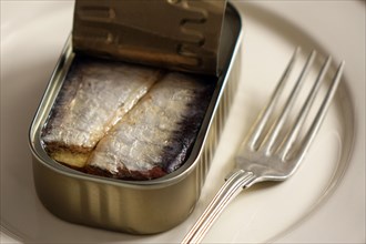 Sardines in open tin on white plate with fork