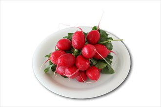 Radish on white plate