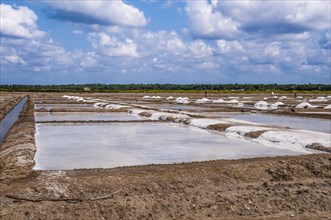 Water basin for salt extraction