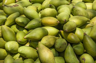 Mangos at a market