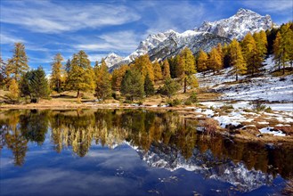 Snow-covered mountains and autumnal larch forest reflected in the Lai Nair