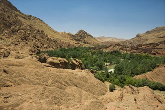 Oasis in Dades Gorge