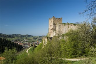 Ruine Neu-Schauenburg castle ruins
