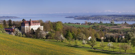 View of Spetzgart Castle over Lake Constance to the Alps