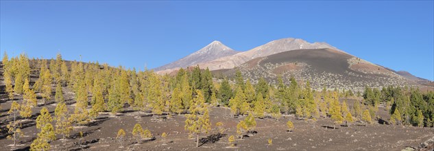 Volcanoes Pico del Teide and Pico Viejo