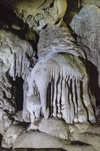 Stalagmite in the shape of an elephant