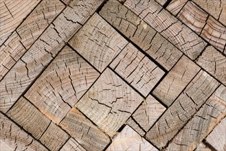 Blocks of oak (Quercus sp.) with annual rings