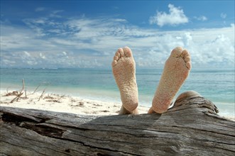 Woman lying on the beach feet up on a tree trunk