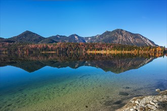 Autumn landscape reflection in Walchensee lake