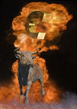 Bull with euro sign in firestorm
