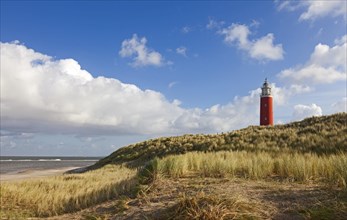 Lighthouse Eierland with Dunes