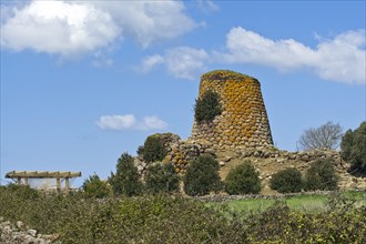 Nuraghi tower datim from the Bonnara civilisation