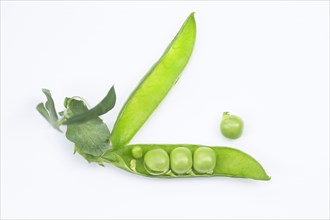 Fresh green peas (Pisum sativum)