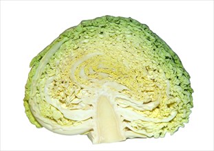 Half sliced cabbage (Brassica oleracea)