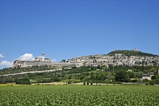 Cityscape with the Basilica of San Francesco