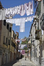 Laundry drying on clothes lines across the street