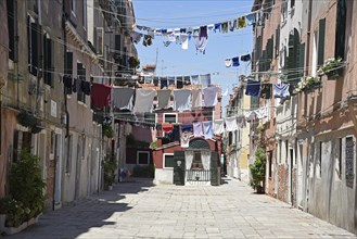 Laundry drying on clothes lines across the street