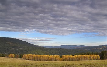 Autumn in the Sumava National Park