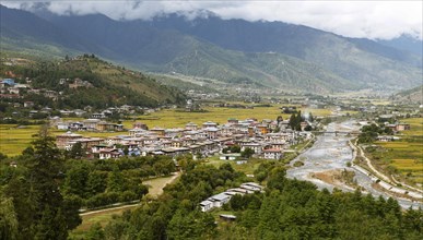 Overlooking Paro with the Paro River or Pa Chu and yellow rice fields