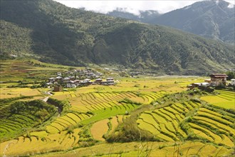 View of Lobesa and terraced rice fields