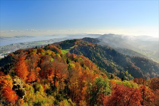 View from Uetliberg near Zurich over the autumn coloured Albis hills and lake Zurich