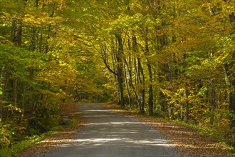 Dirt road