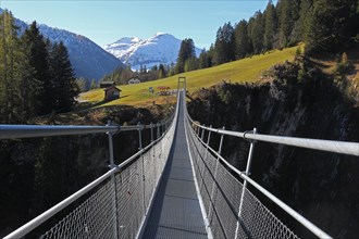 Rope suspension bridge over Hohenbachtal