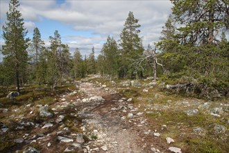 Trail to plateau