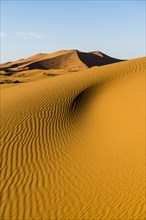 Sand dunes in morning light