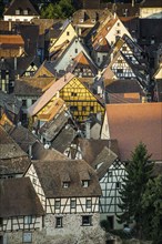 Village with half-timbered houses at sunrise