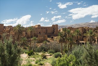 Oasis with traditional adobe houses and date palms