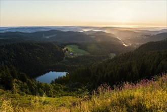 View east towards Feldsee from Feldberg