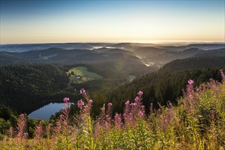 View east towards Feldsee from Feldberg