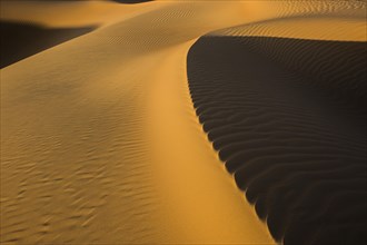 Sand dune crest