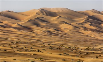 Sand dunes in desert near Al Hamaim