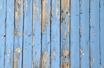 Wall made of light blue wooden slats