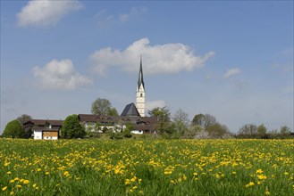 Townscape