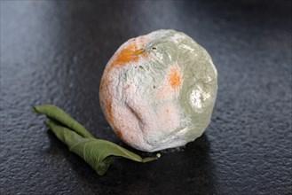 Moldy orange