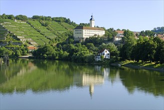 Horneck Castle on the Neckar river