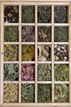 Collection of dried herbs and medicinal plants