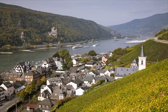 View of Assmannshausen and the Rhine Valley