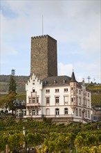 Bossenburg castle